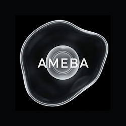 AMEBA