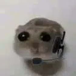 BimoJri