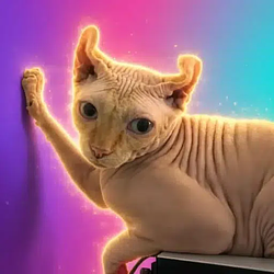 Ed