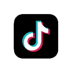 FEESTOK