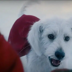 Krypto