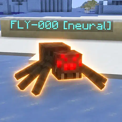 FLY