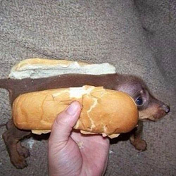 Wiener