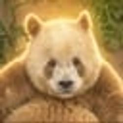 QiZai