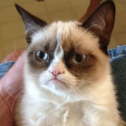 Grumpy / SOL