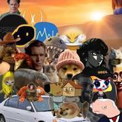 COMMUNITY