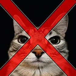 ANTICAT