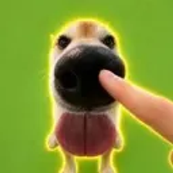boop / SOL