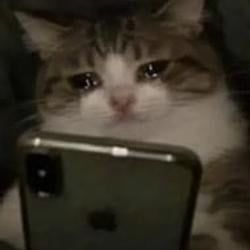 sobcat