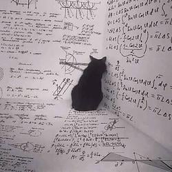QUANTUMCAT