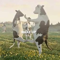 WAKEUP