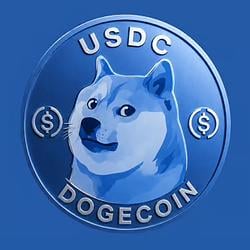 DOGE / USDC