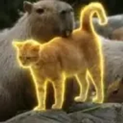 Oyen / SOL