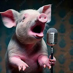 PIG MIC