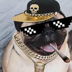 Gdog