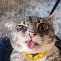 RIGBY