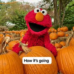 Pumpkin Elmo