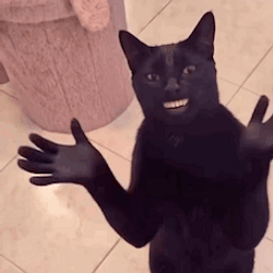 CCAT