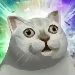 I/Cat