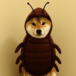 INUMORTAL