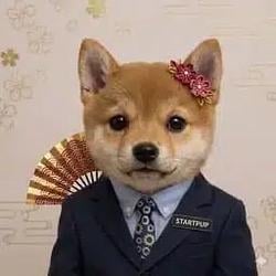 startpup