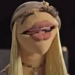 LIPSIM