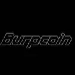 Burpcoin / SOL