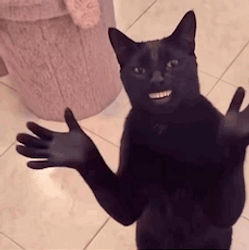 CCAT