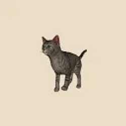 cat-01 / SOL