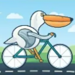 Pelican Riding a Bicycle