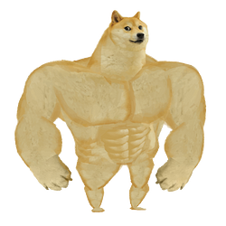 BUFF DOGE / SOL