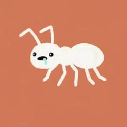 antthropic / SOL