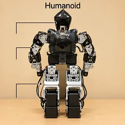 Brainobot