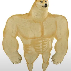 SWOLE / SOL