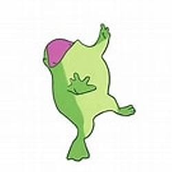 TEST / SOL