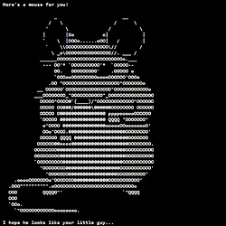 Cashrat