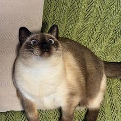 LCB