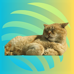 The Jupiter Cat logo