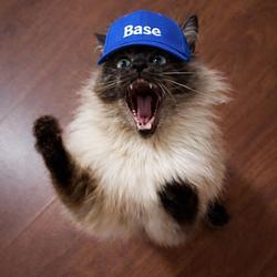 MOAR! BASEPOSTING! @BASE.BASE.ET logo