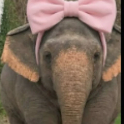 WIF