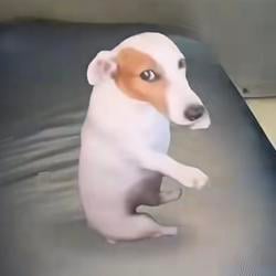 NEWGUY