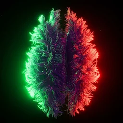 BRAIN