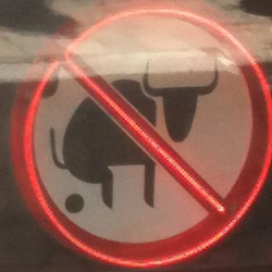 NOBULLSHIT / SOL