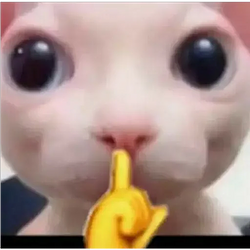shhh / BNB