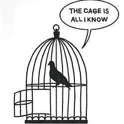 CAGE / SOL