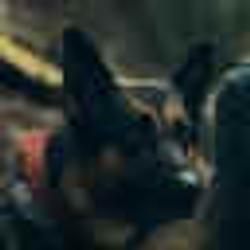 odin