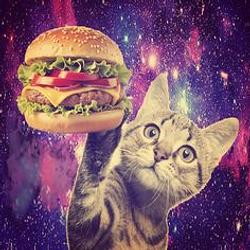 BurgerCat