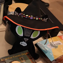 BINX