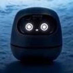 Rice Bot