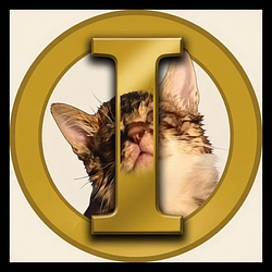 Irokoko